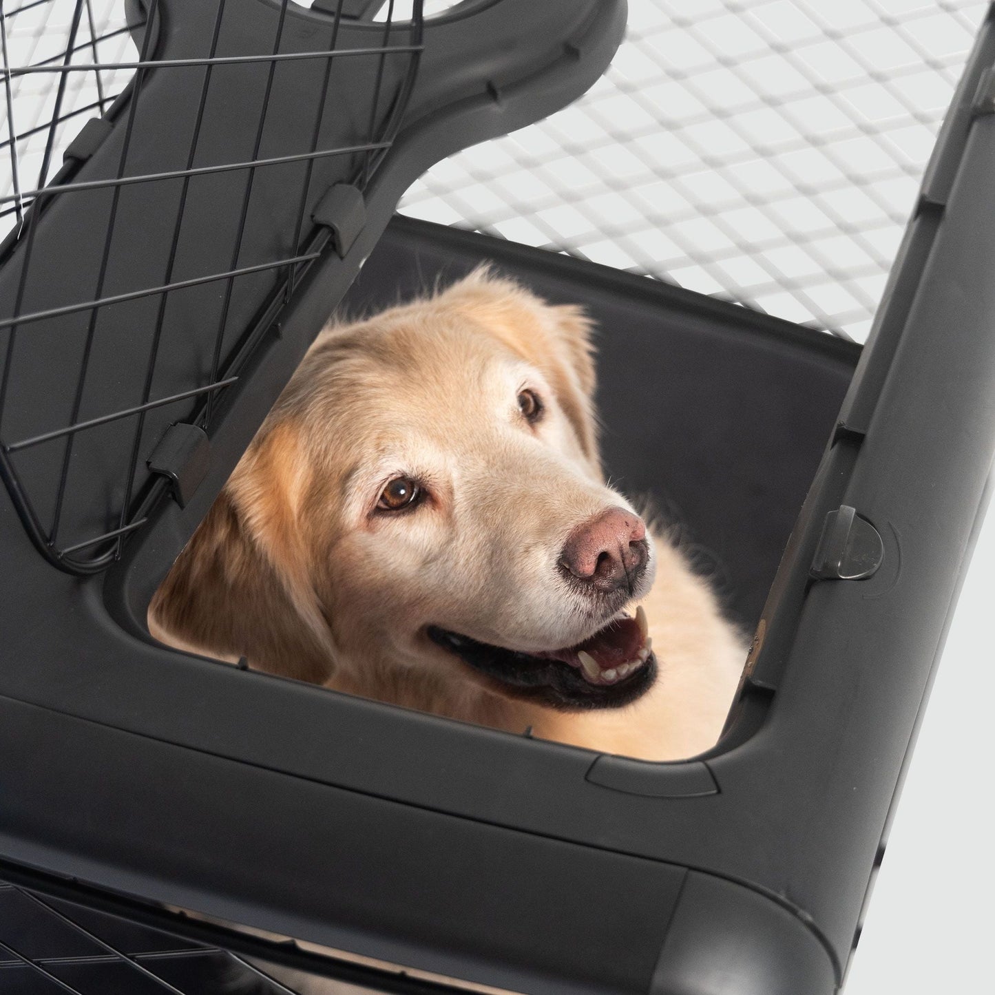 Refurbished Revol Dog Crate