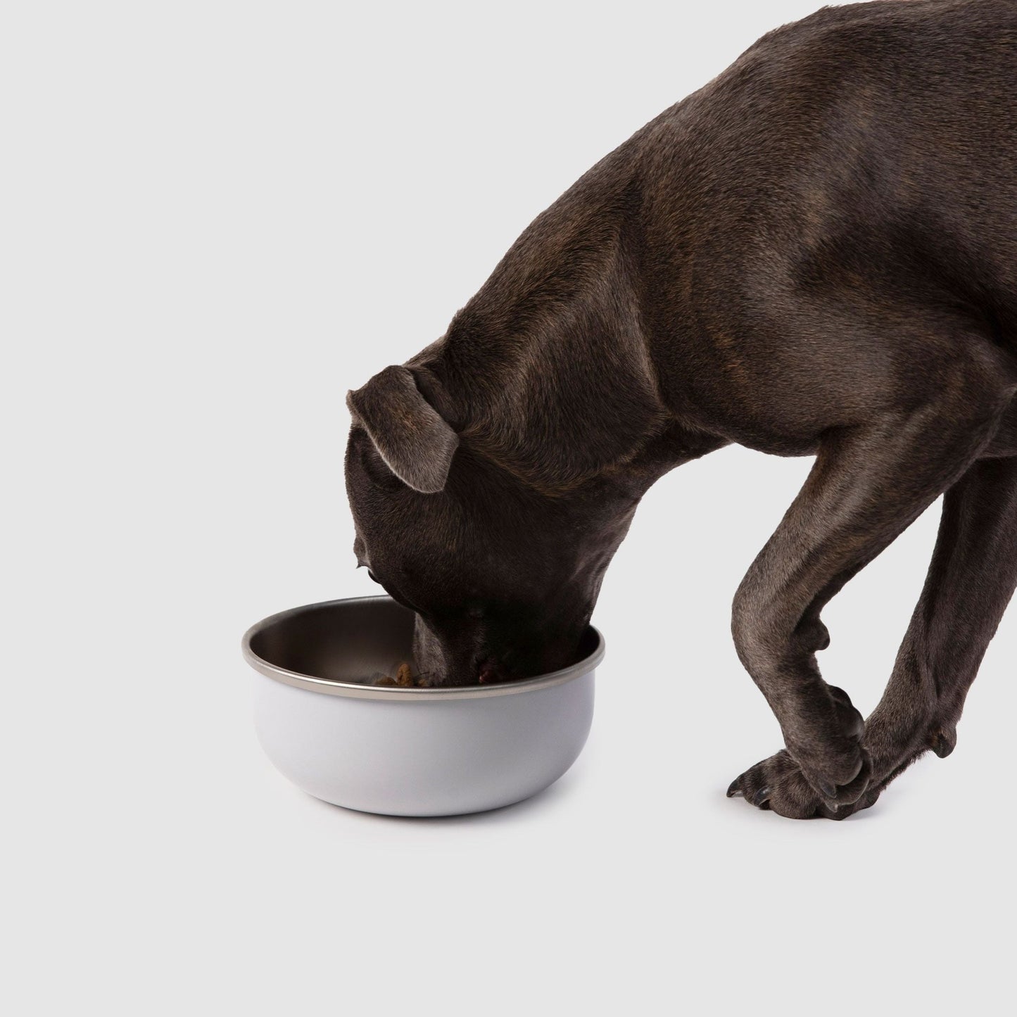 Crate Bowl