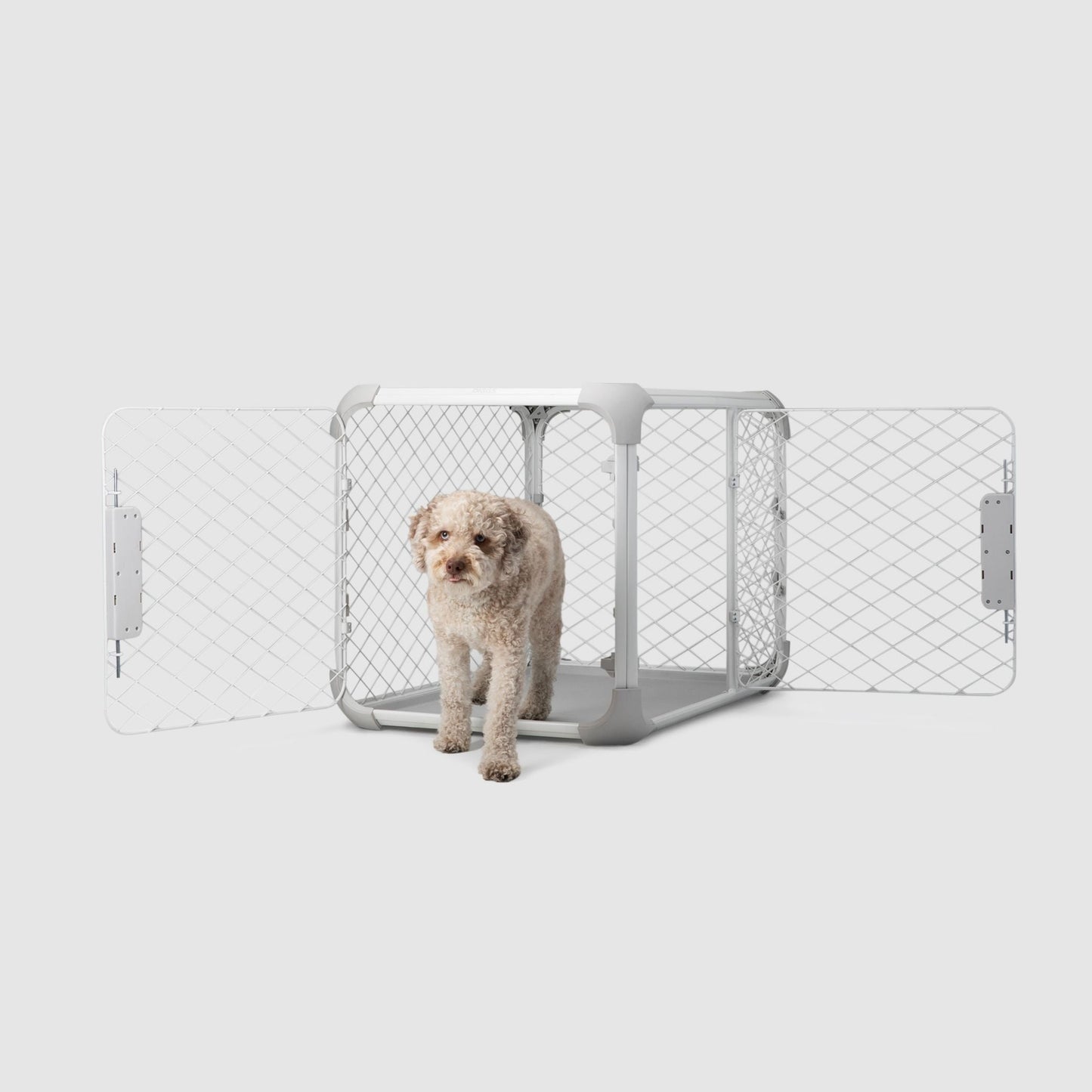 Evolv Dog Crate