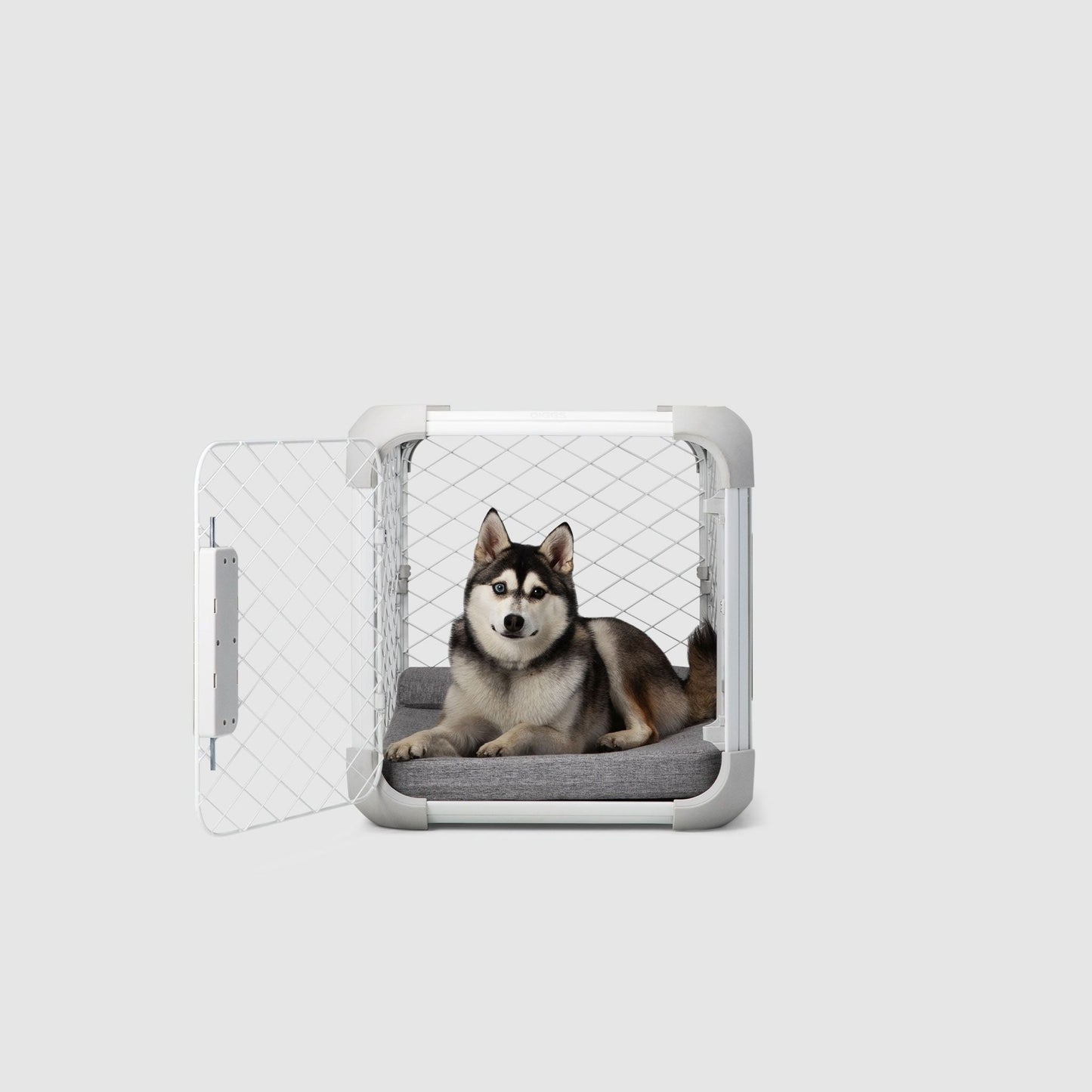 Evolv Dog Crate