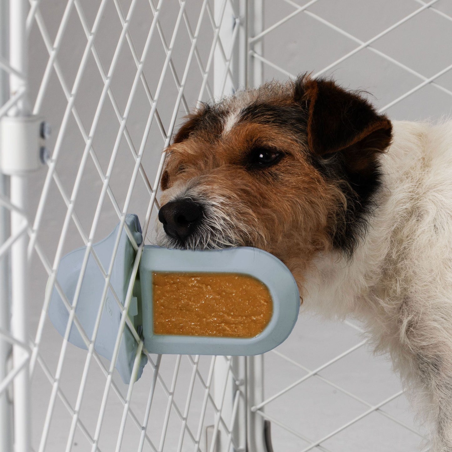 Revol Crate Training Bundle