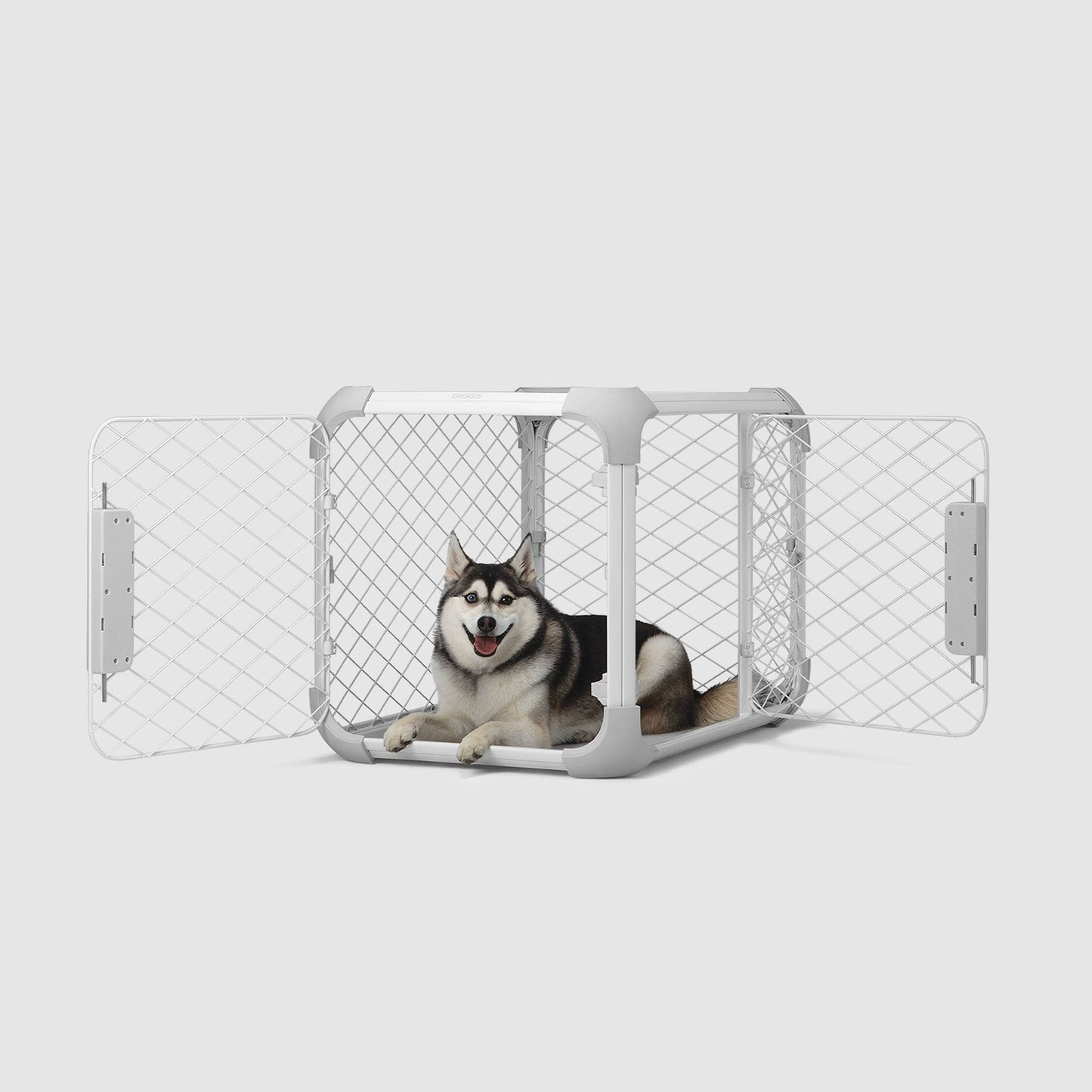 Evolv Dog Crate