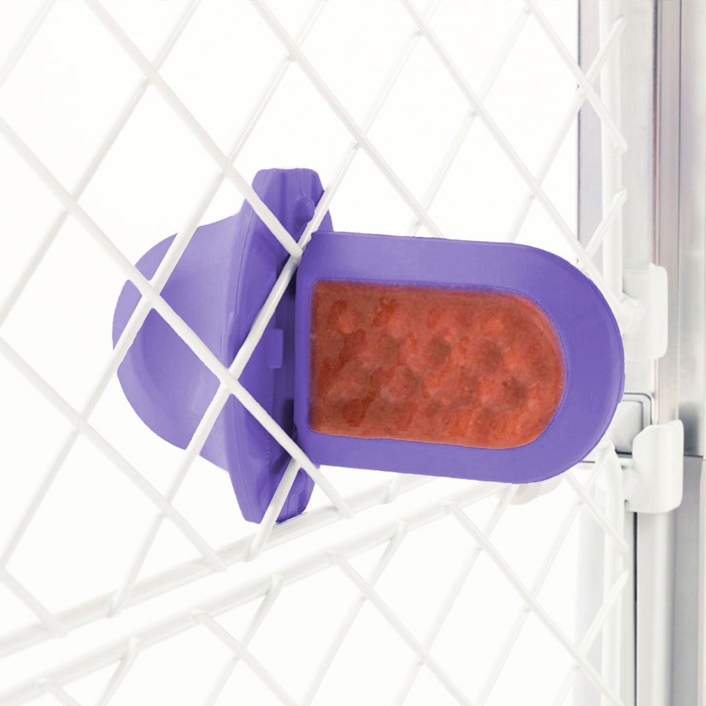 Groov Training Aid